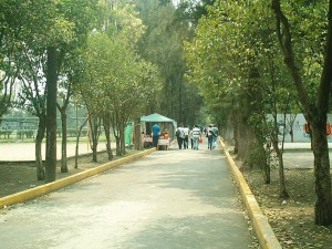 Ciudad Deportiva y la urbanizacion impulsada por la Revolucion Mexicana